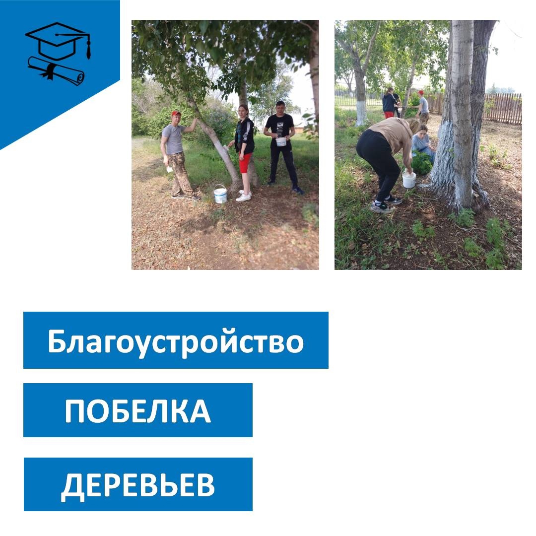 Благоустройство пришкольного участка.