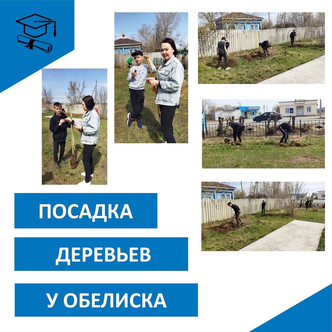 Высадка деревьев у обелиска.