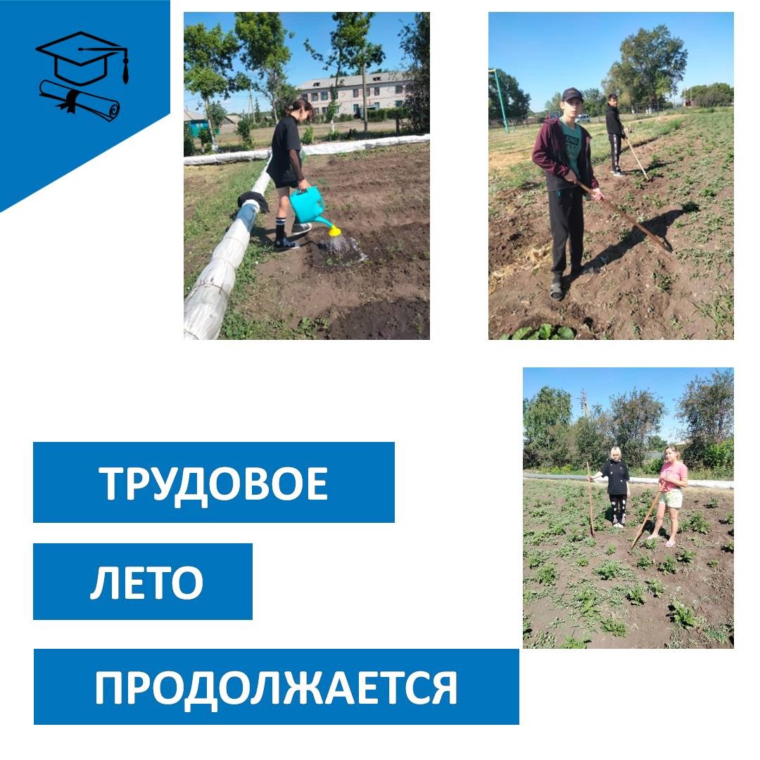 Трудовое лето продолжается.
