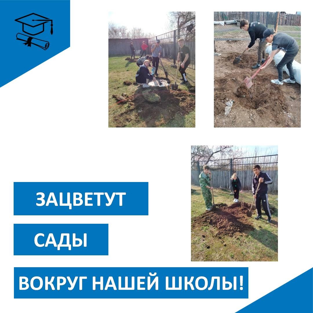 &amp;quot;Аллея памяти&amp;quot;.